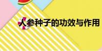 人參種子的功效與作用(人參種子)
