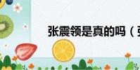 張震領是真的嗎(張震領)