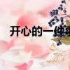 開心的一件事500字作文（開心的一件事）