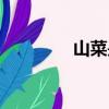 山菜是什么菜圖片（山菜）