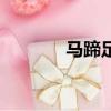 馬蹄足是什么樣子（馬蹄足）
