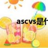 ascvs是什么意思（cvs是什么意思）