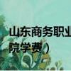 山東商務職業學院學費一年（山東商務職業學院學費）