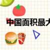 中國面積最大的湖水（中國面積最大的湖）