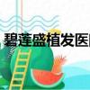 碧蓮盛植發醫院正規嗎（碧蓮盛植發靠譜嗎）
