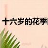 十六歲的花季陳菲兒扮演者（十六歲的花季）