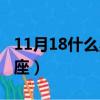 11月18什么星座是什么星座（11月18什么星座）