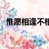 惟愿相逢不相識下一句（惟愿相逢不相識）