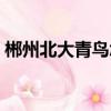 郴州北大青鳥怎么招生（郴州北大青鳥地址）