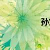 孫策簡介（孫權簡介）