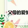 父母的愛情電視連續劇（父母的愛情）
