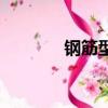 鋼筋型號有哪些（鋼筋型號）