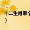 十二生肖哪個最丑臉最長（十二生肖哪個最丑）