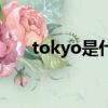 tokyo是什么意思（tokyo什么意思）