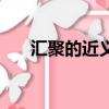 匯聚的近義詞是什么（匯聚的近義詞）