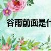 谷雨前面是什么（谷雨前后下一句是什么）