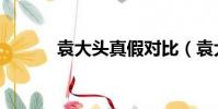 袁大頭真假對比(袁大頭真假)