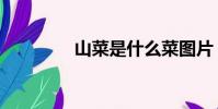 山菜是什么菜圖片(山菜)