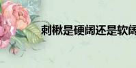 刺楸是硬闊還是軟闊(刺楸)