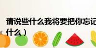 請說些什么我將要把你忘記英文翻譯(請說些什么)