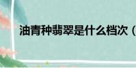 油青種翡翠是什么檔次(油青種翡翠)