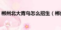 郴州北大青鳥怎么招生(郴州北大青鳥地址)