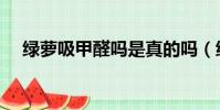 綠蘿吸甲醛嗎是真的嗎(綠蘿吸甲醛嗎)