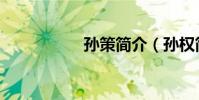 孫策簡介(孫權簡介)