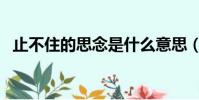 止不住的思念是什么意思(止不住的思念)