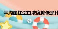 平均血紅蛋白濃度偏低是什么意思(平墳)