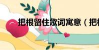 把根留住歌詞寓意(把根留住歌詞)