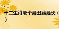 十二生肖哪個最丑臉最長(十二生肖哪個最丑)