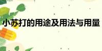 小蘇打的用途及用法與用量(小蘇打的用途)