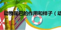 動物尾巴的作用和樣子(動物尾巴的作用)