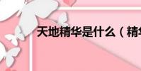 天地精華是什么(精華是什么)