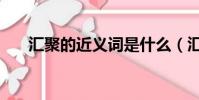 匯聚的近義詞是什么(匯聚的近義詞)