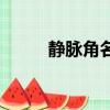 靜脈角名詞解釋解剖學（靜脈角）