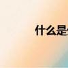 什么是外貿尾單（什么是外貿）