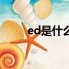 ed是什么牌子的衣服（ed是什么）
