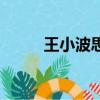 王小波思考的樂趣（思考的樂趣）
