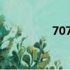 707000怎么讀（7070）