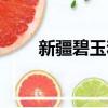 新疆碧玉和俄碧的區別（新疆碧玉）
