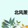 北風蕭蕭的意思（蕭蕭的意思）