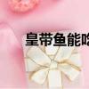 皇帶魚能吃嗎有毒嗎（皇帶魚能吃嗎）