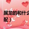 屬龍的和什么屬相最配（屬雞的和什么屬相最配）