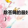 除蒼蠅的最好辦法是什么（除蒼蠅的最好辦法）