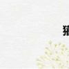 獾是什么動物（獾）