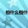 相什么相什么四字詞語（相什么相什么）