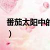 番茄太陽中的番茄太陽指的是什么（番茄太陽）