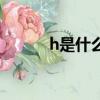 h是什么牌子車（h是什么牌子）
